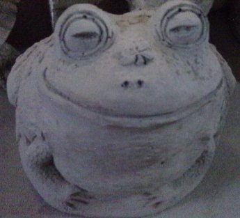 AF504 FROG BUG ON NOSE $15