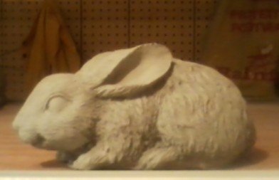 AR741 BABY RABBIT #2 $8
