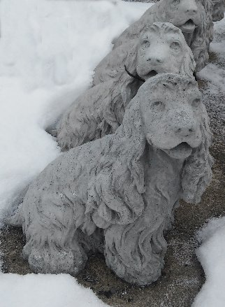 AD310 DOG COCERSPANIEL $15