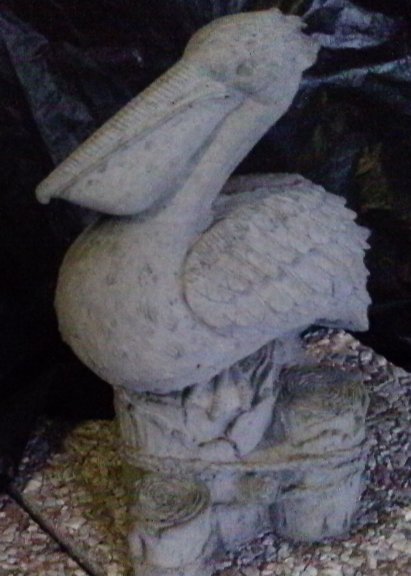 AP692 PELICAN MEDIUM $25