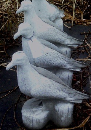 AS821 SEAGULL WINGS IN $36
