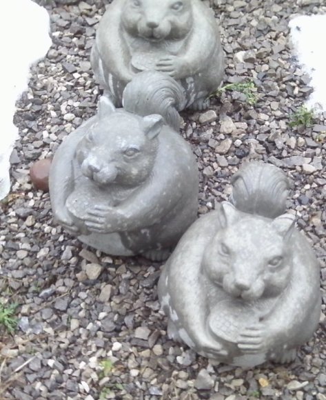 AS861 SQUIRREL FAT $24