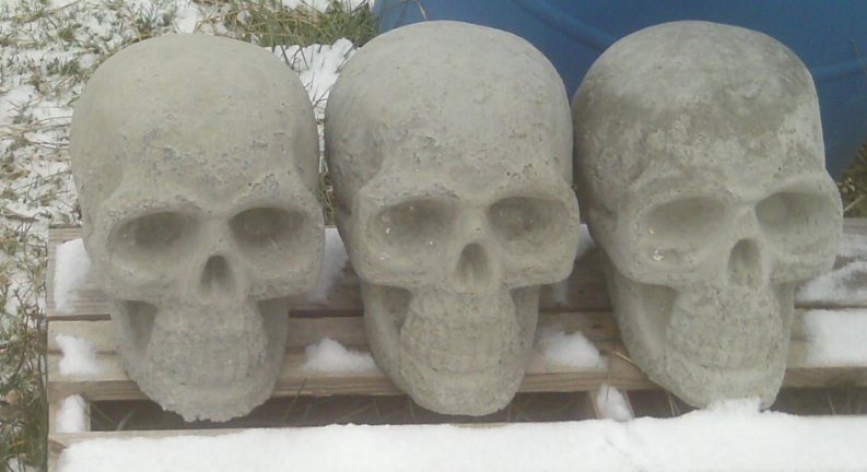 SS600 SKULL HUMAN 12" $18