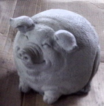 AP722 PIG FAT $20