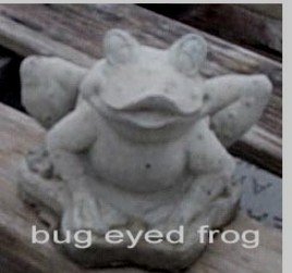 AF503 FROG BUG EYED $15