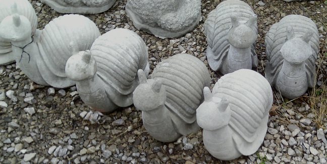 AS850 SNAIL $21