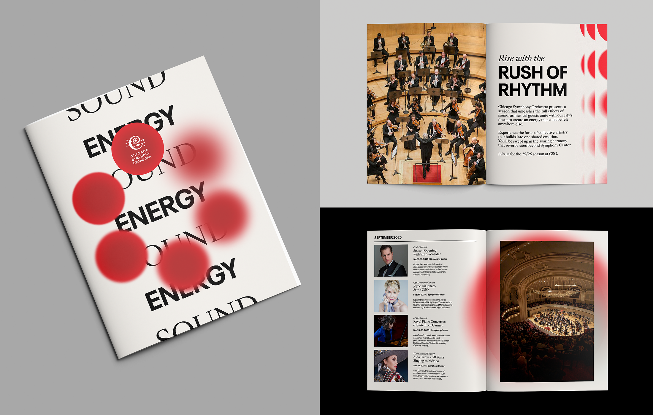 Website_CSO_Brochure.png