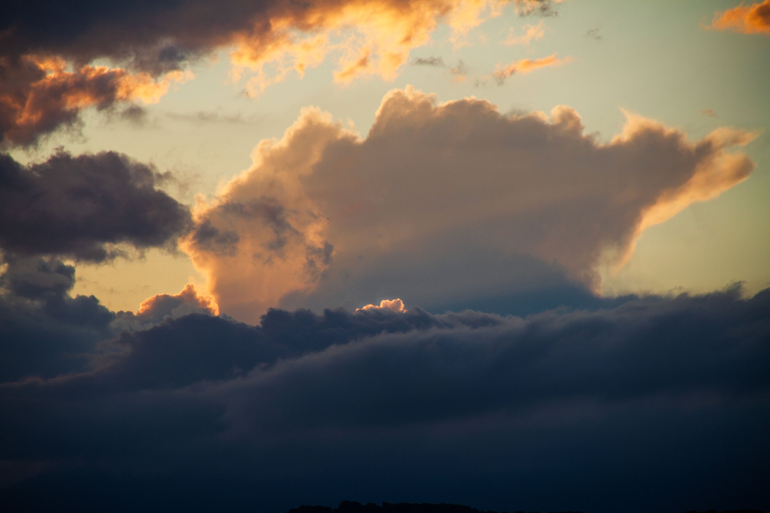 IMG_5077-edit.jpg