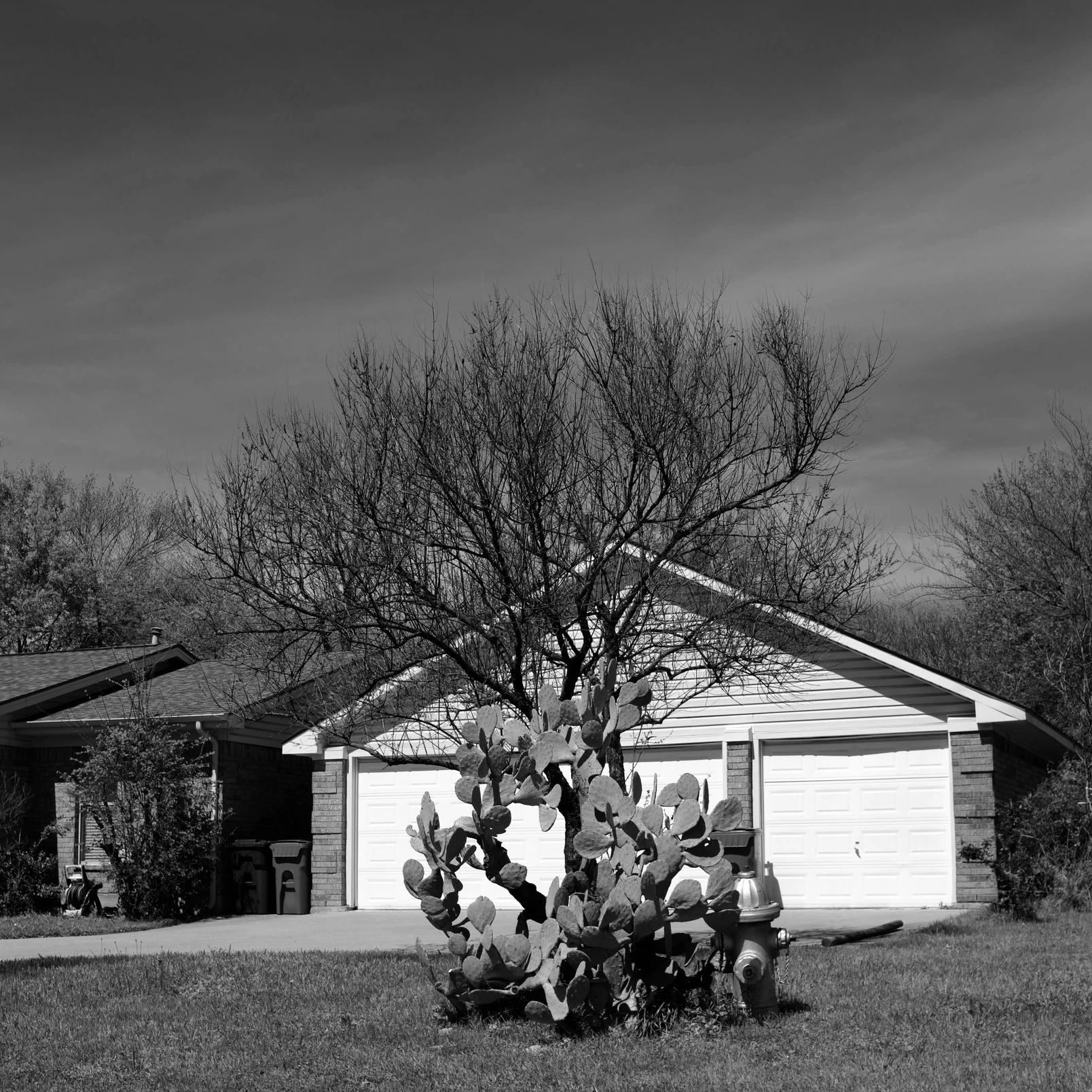 Unlikely Friends.png