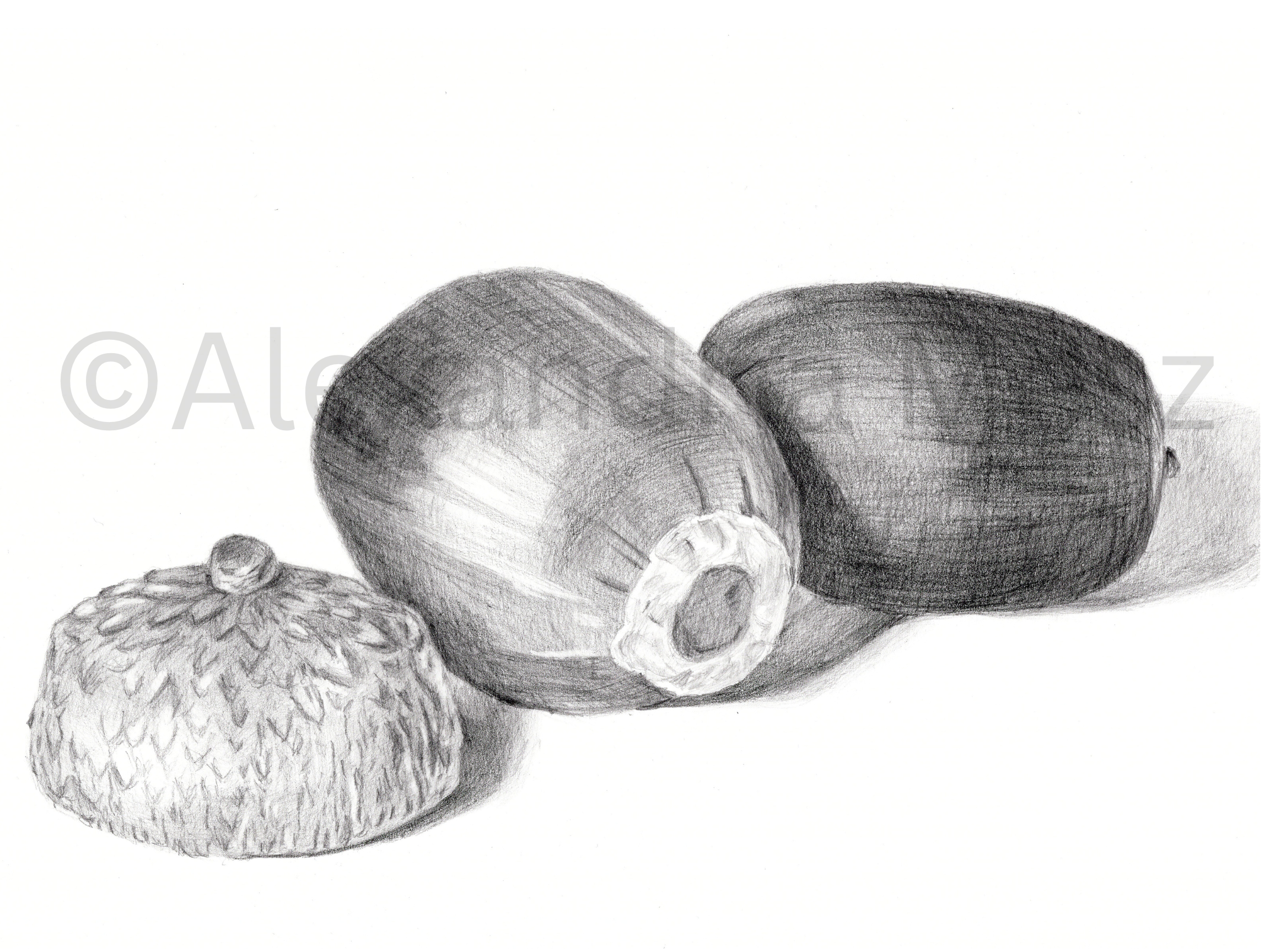 Pencil drawing of a strawberry, a hazelnut, and two acorns on a white background.