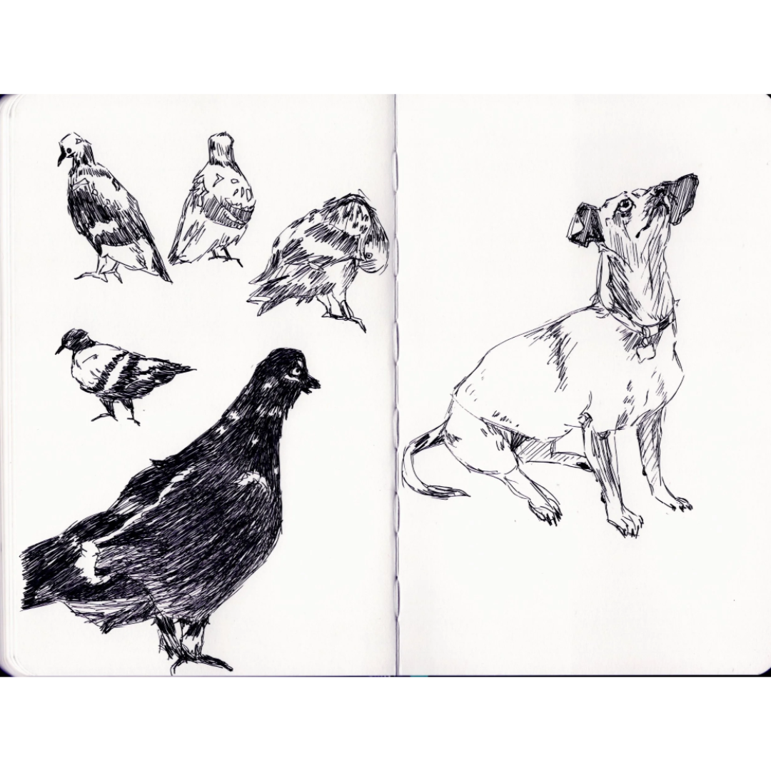 Travel Sketchbook (2025)