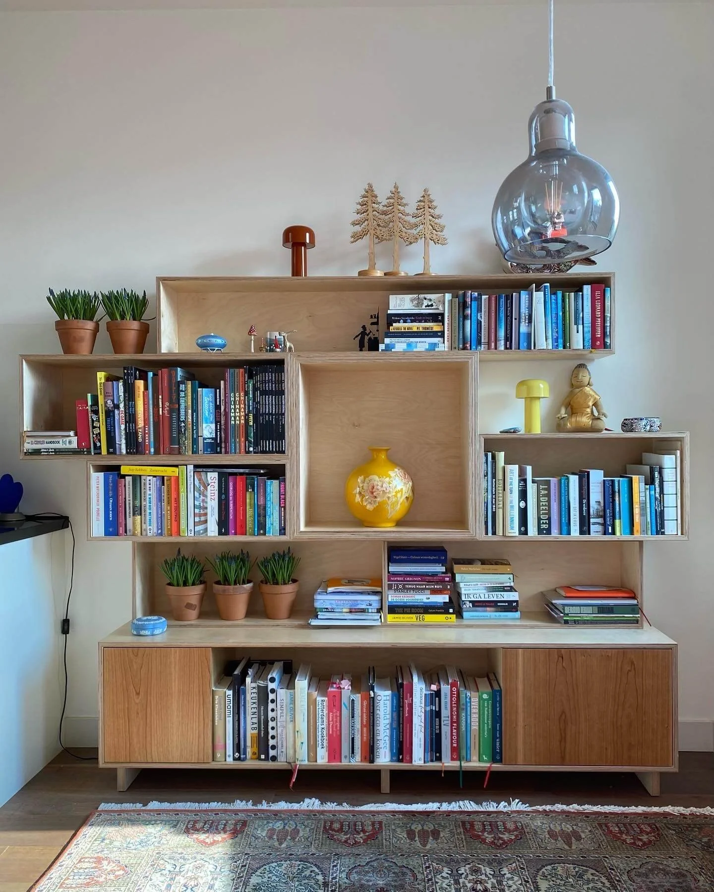 Wooden bookshelf filled with colorful books, decorative items, and potted plants, located against a plain white wall with a patterned area rug in front.