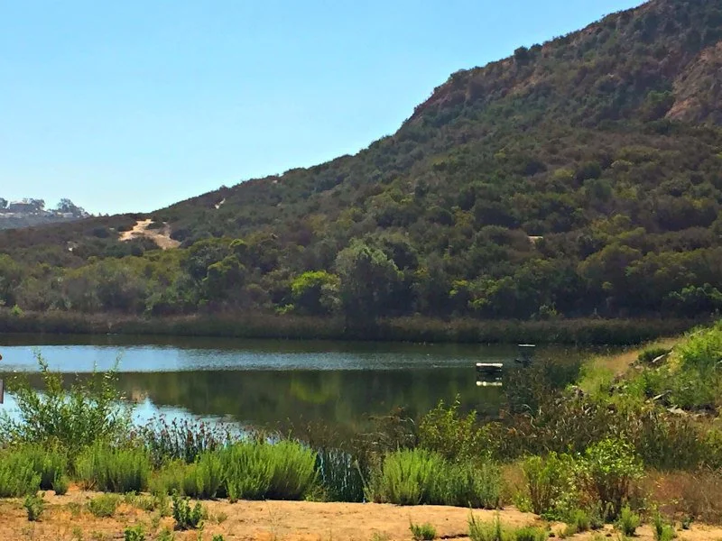 Calaveras Hills Hike