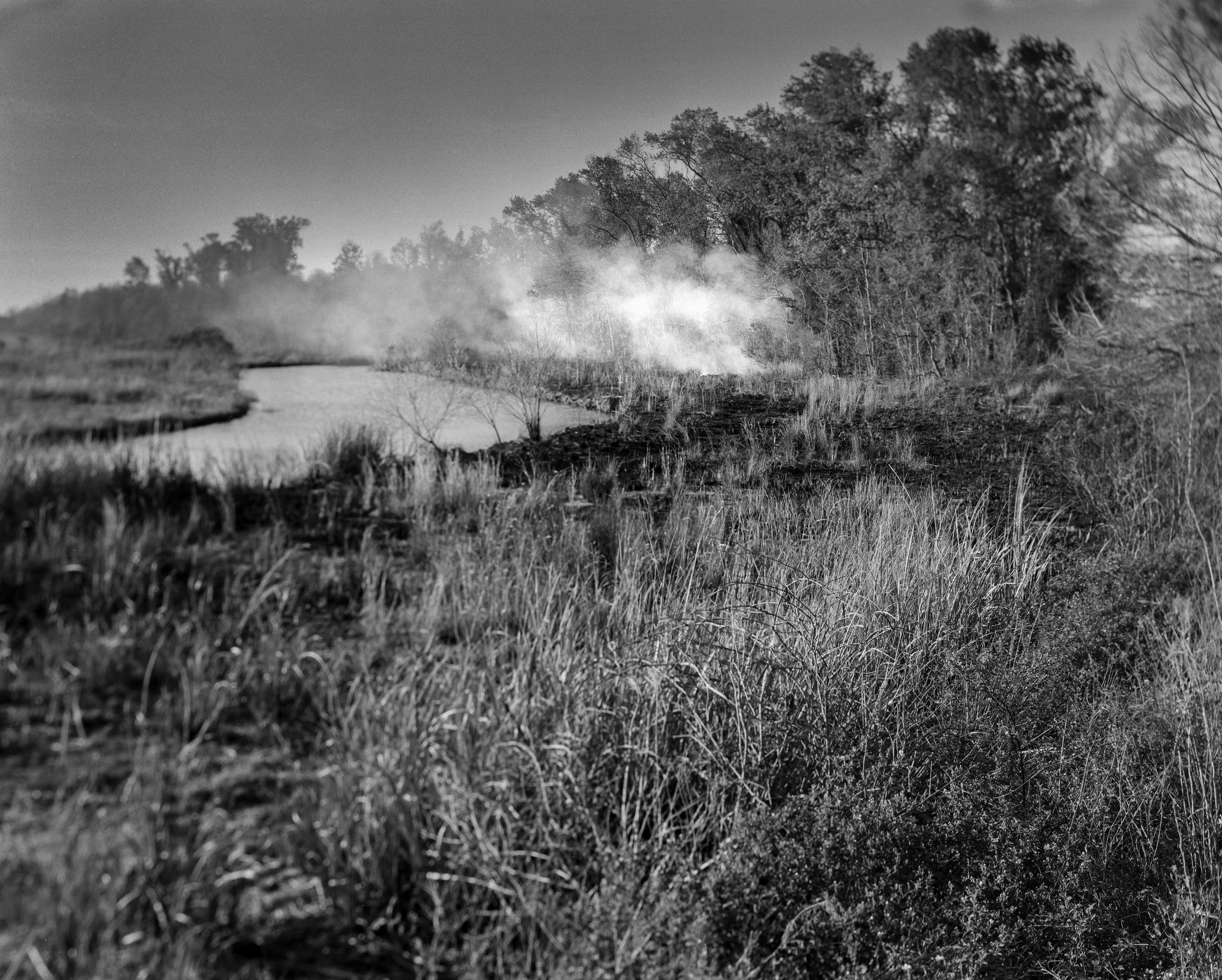 SNWR Controlled Burns.jpg