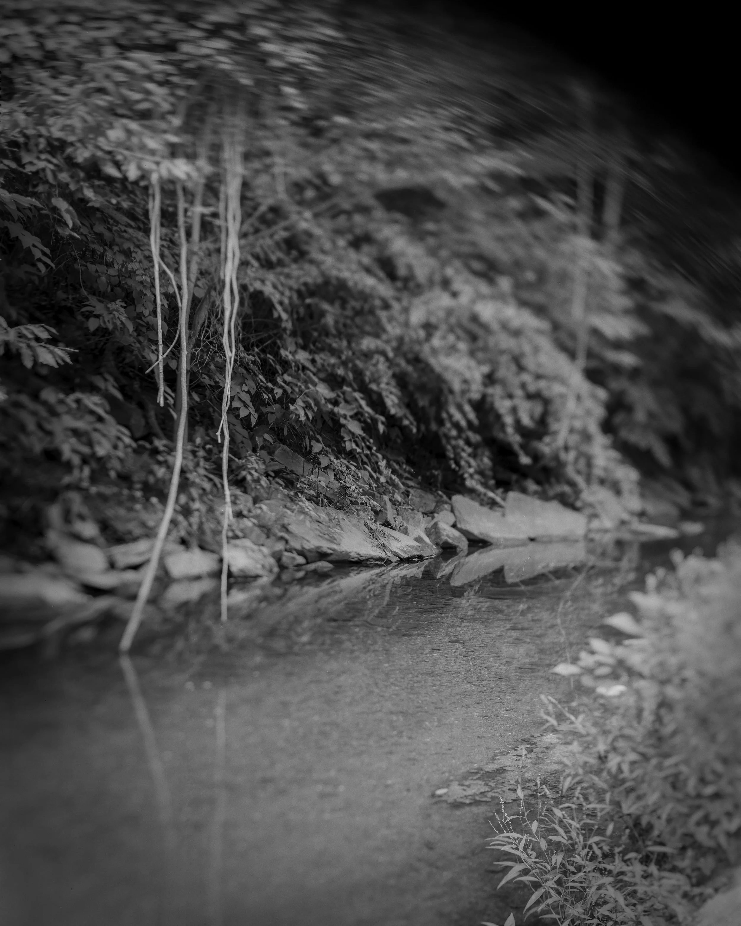 Stony Run River Max Swing copy 1.jpg