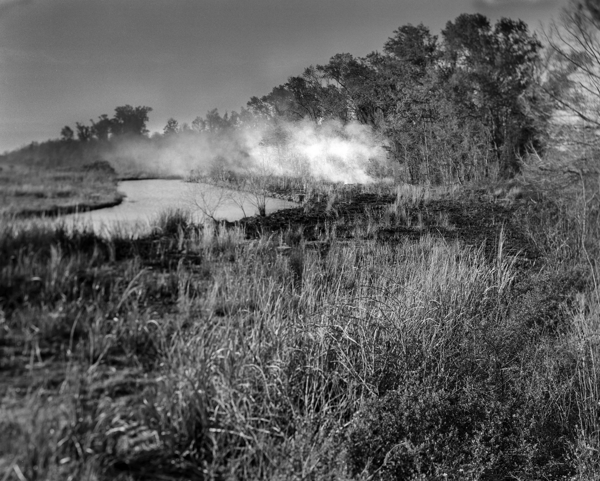 SNWR Controlled Burns Burned.jpg