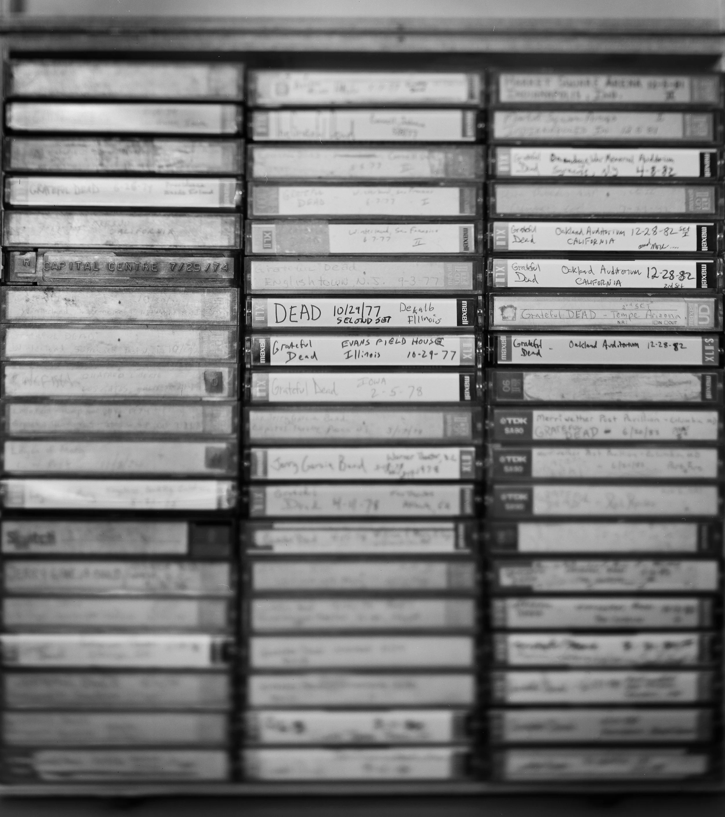 Dead Tapes Tilt.jpg
