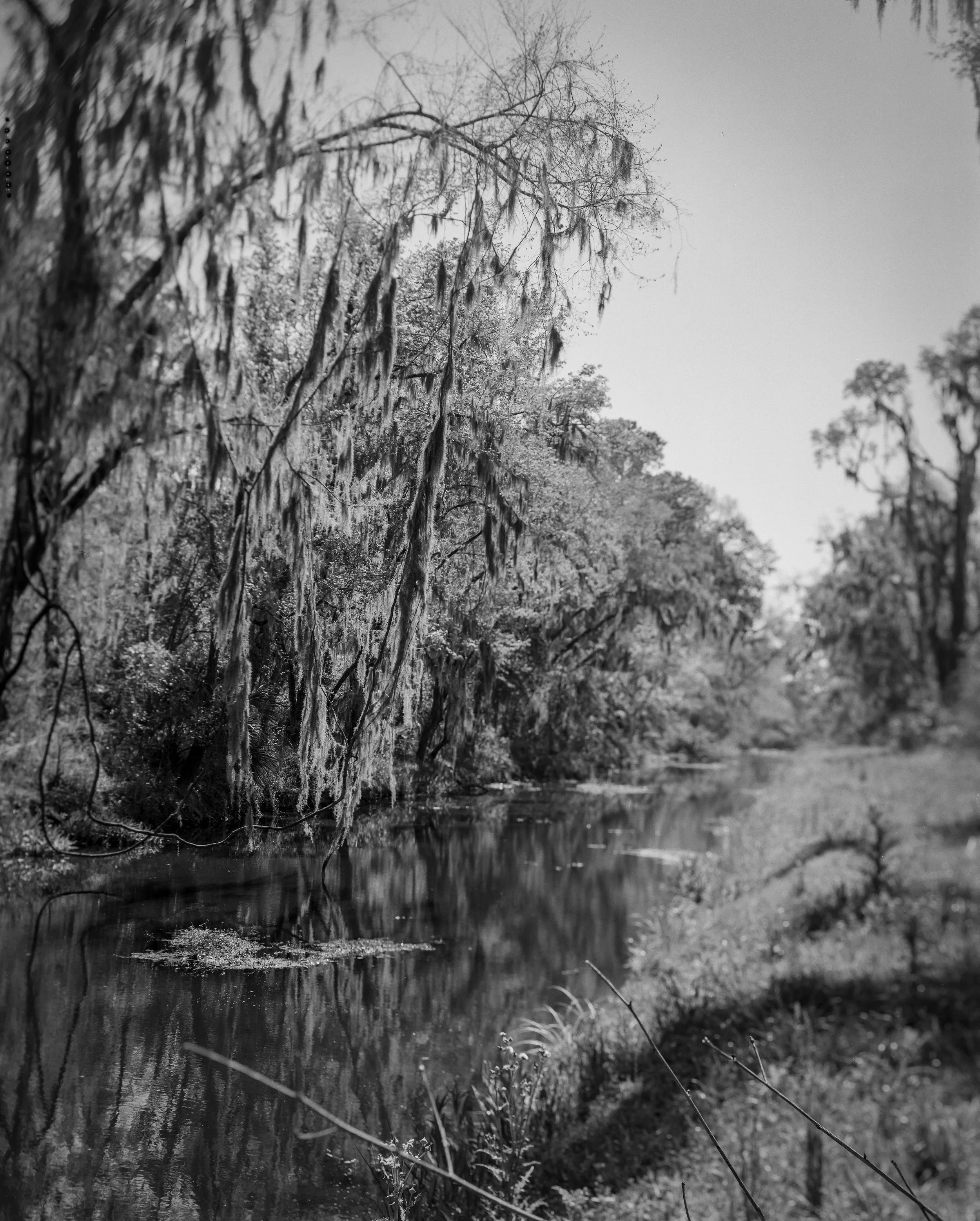 Drainage Ditch Swing.jpg