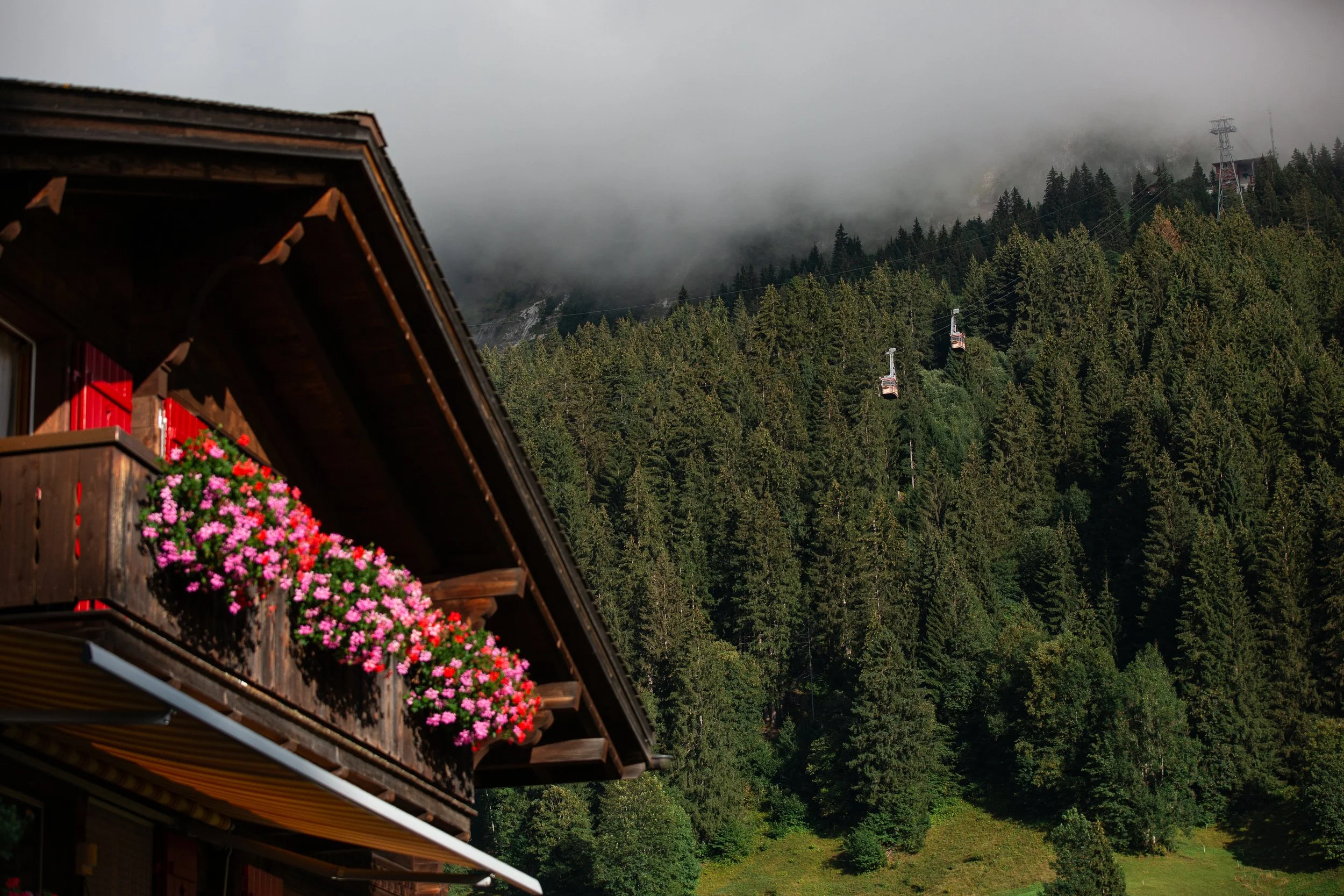 2023_Switzerland-22.jpg