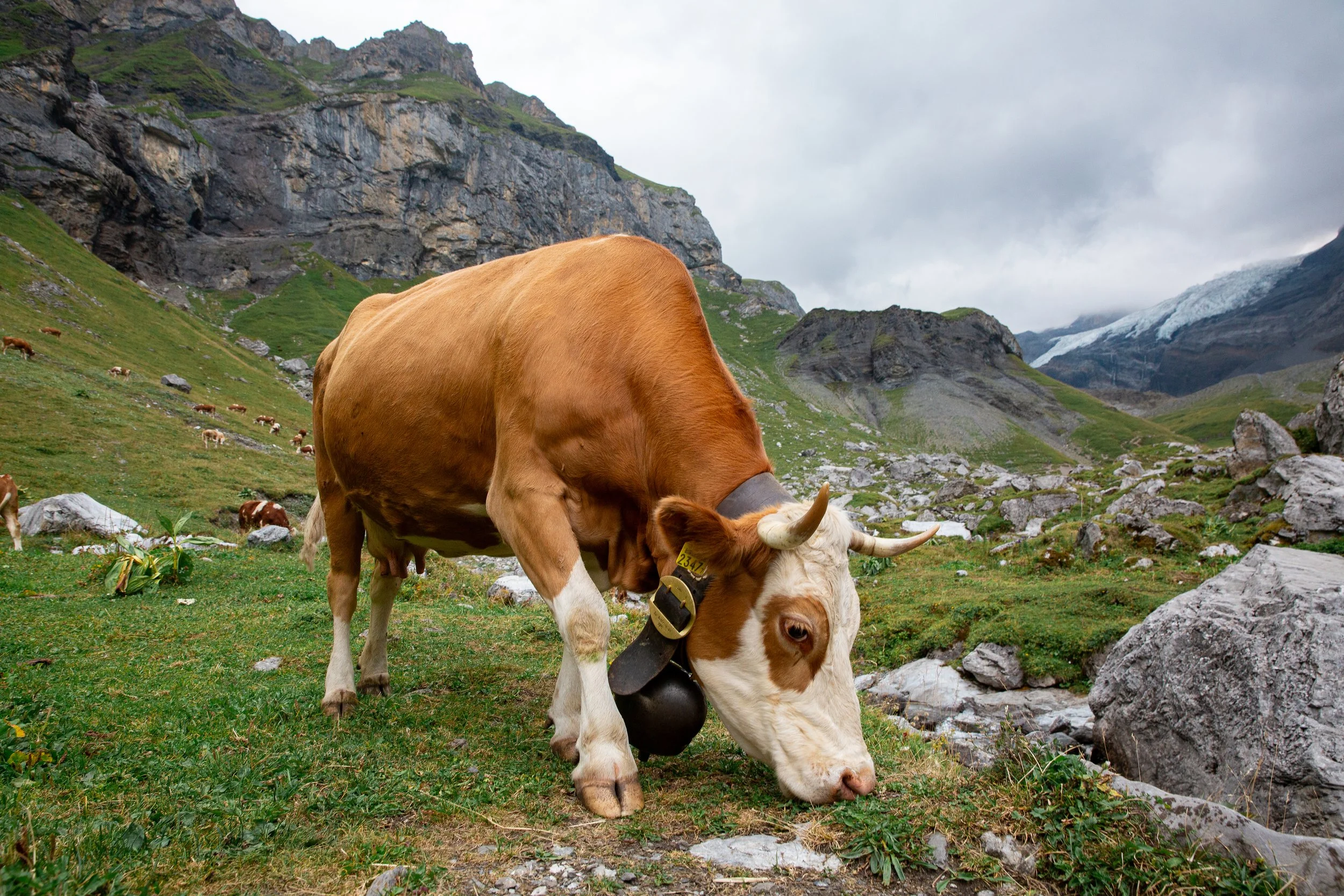 2023_Switzerland-10.jpg