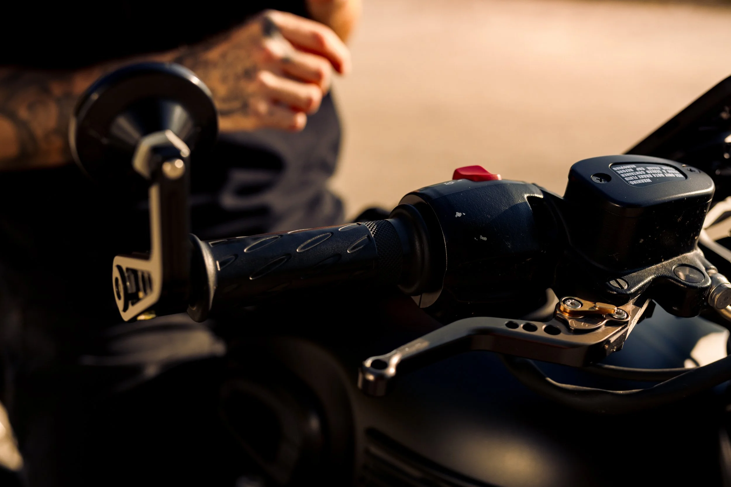 NateStein_Triumph_IPS_Selects-1.jpg