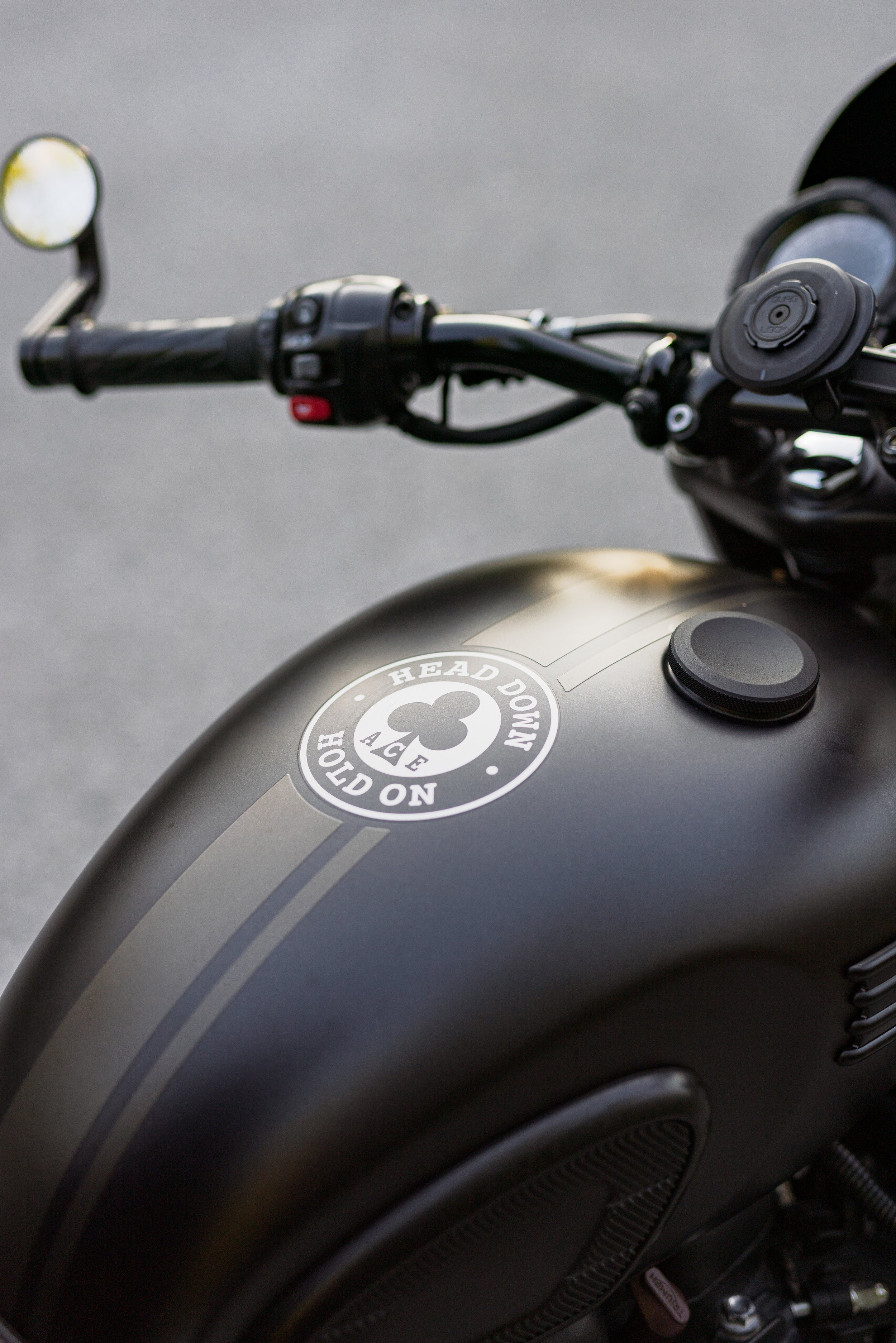 NateStein_Triumph_IPS_Selects-02.jpg