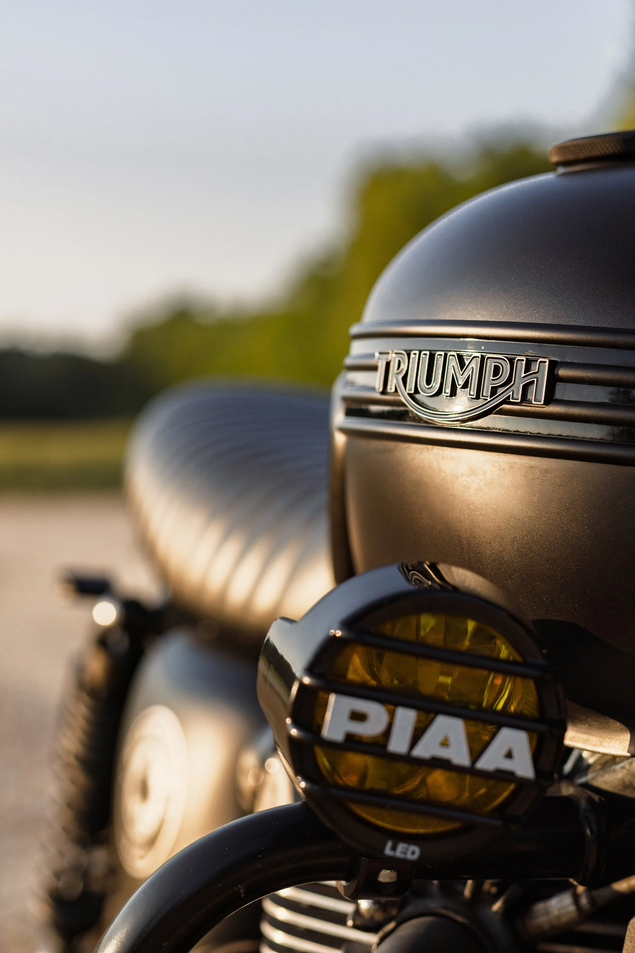 NateStein_Triumph_IPS_Selects-06.jpg