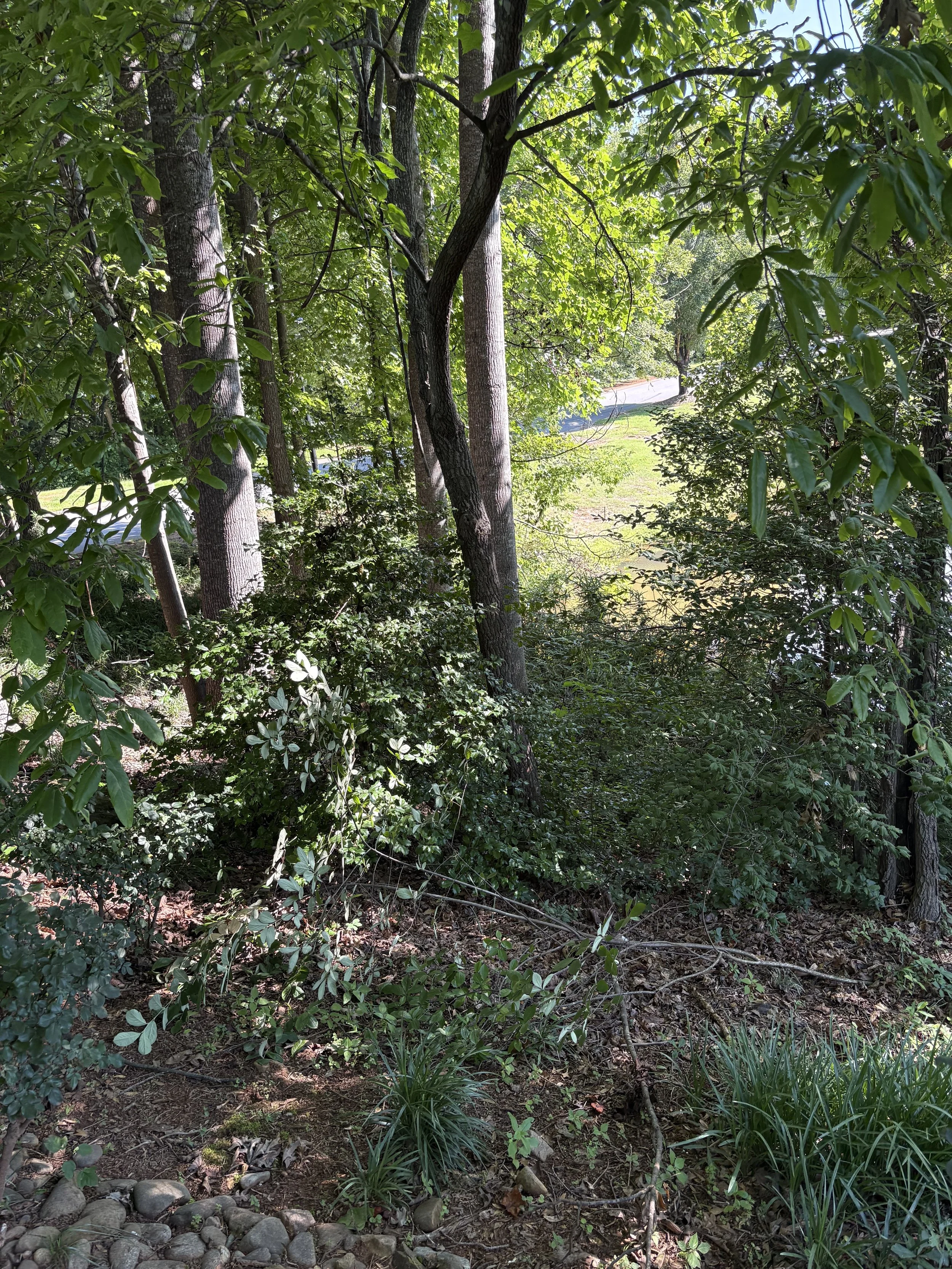 landscaping spartanburg, landscaping spartanburg sc, yard cleanup and removal near me, greenville sc lawn maintenance, lawn maintenance greenville sc, yard clean up services, landscaping & lawn care, land landscape design, lawn care greenville