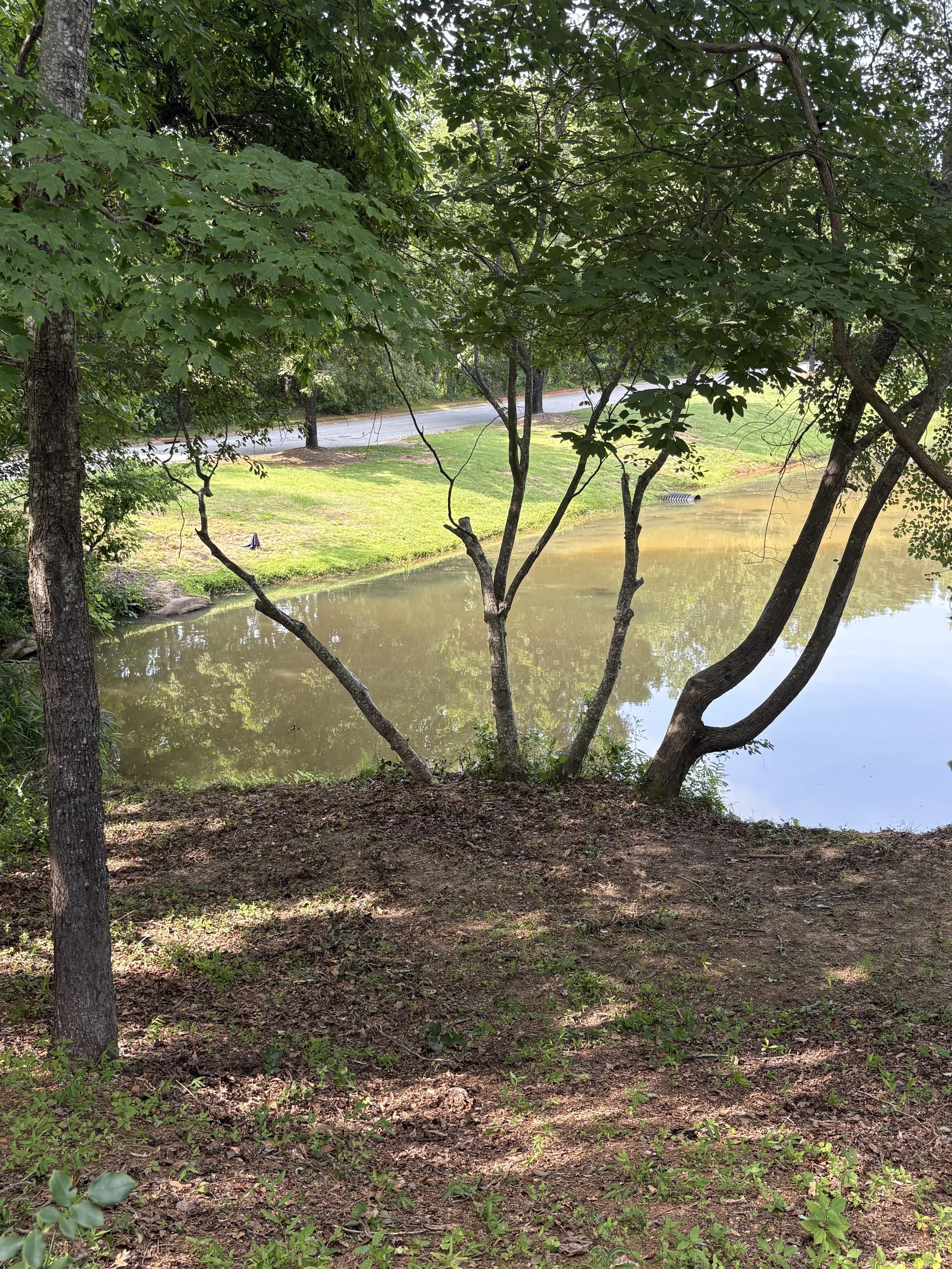landscaping spartanburg, landscaping spartanburg sc, yard cleanup and removal near me, greenville sc lawn maintenance, lawn maintenance greenville sc, yard clean up services, landscaping & lawn care, land landscape design, lawn care greenville