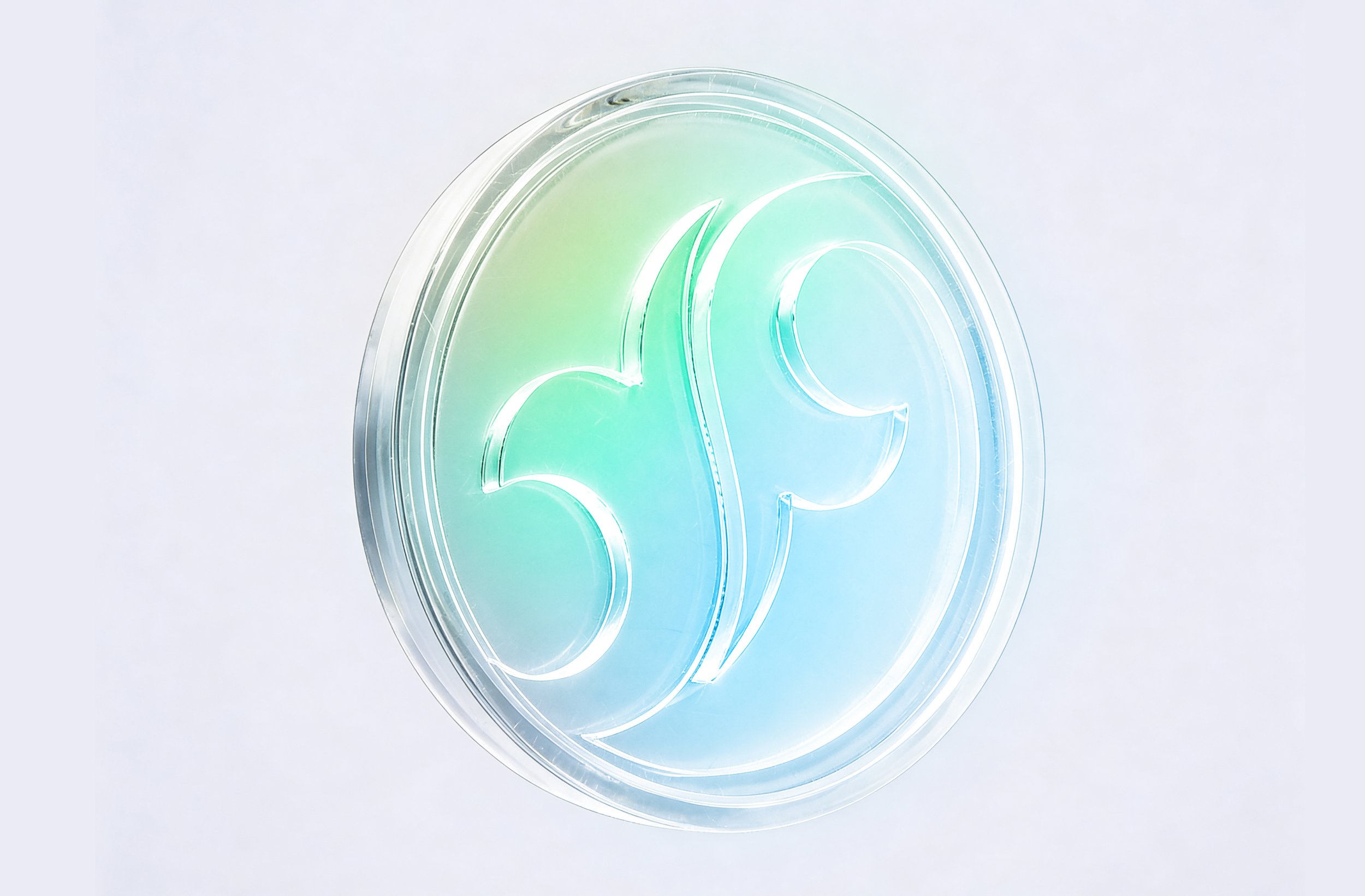 Instant Payment System logo created for a fintech platform, combining a flowing payment symbol with a modern blue and green visual identity.