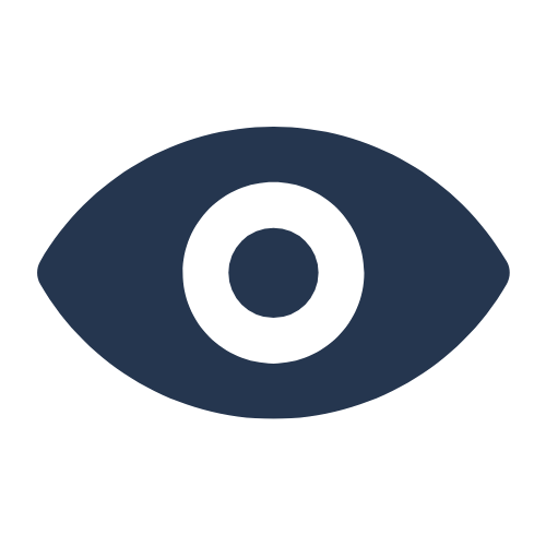 A stylized icon of a human eye with a dark blue iris, surrounded by a black outline.