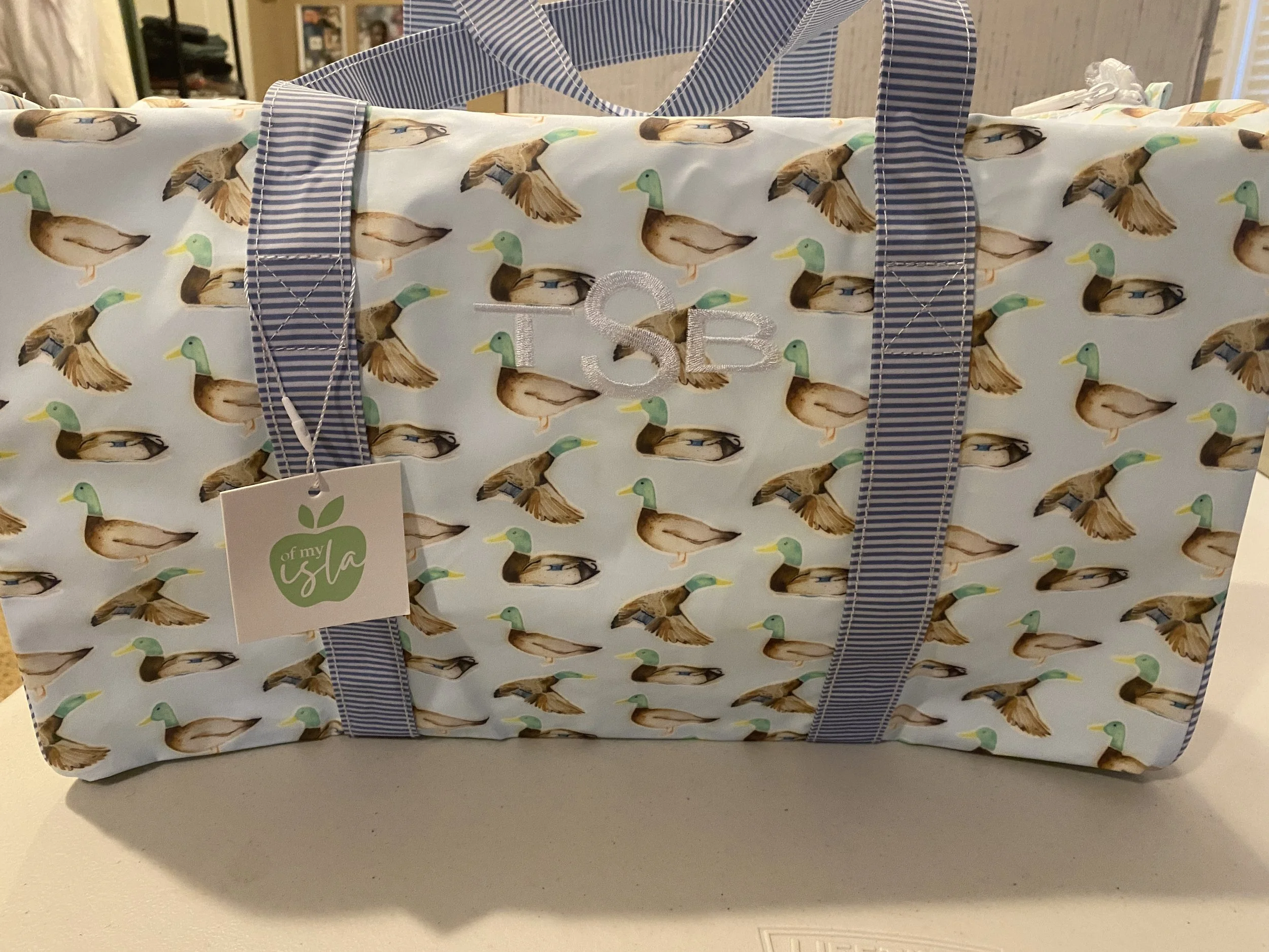 Embroidered Toddler Day Care Bag