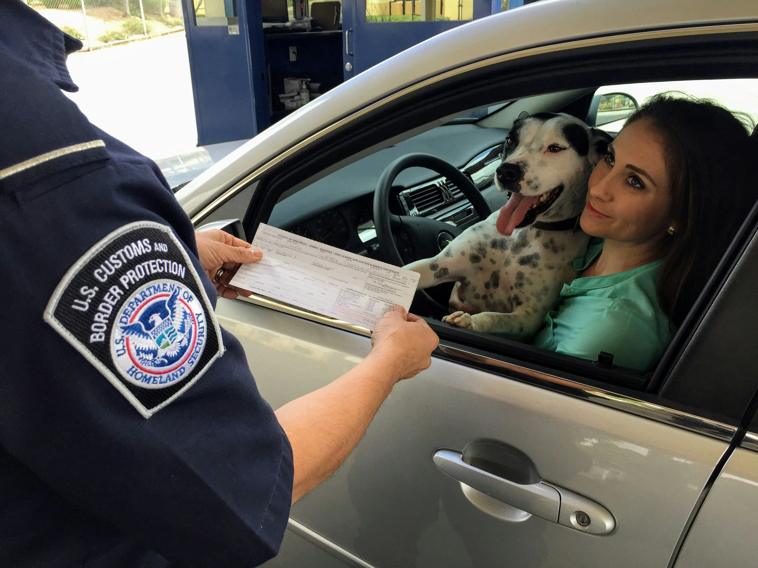 A police officer holding a dog license while interacting with a woman in a car at a drive-thru. The dog is a black and white Dalmatian sitting in the woman's lap, both looking at the officer.