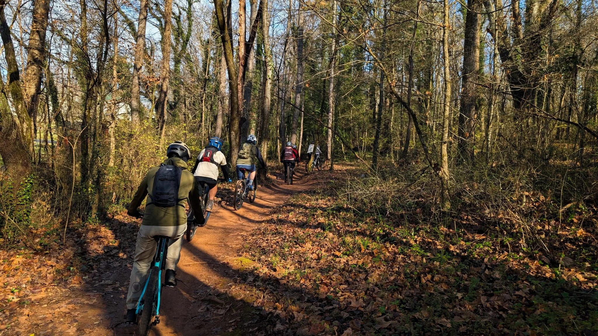 A man mountain biking on a wooded trail surrounded by green trees and foliage.
