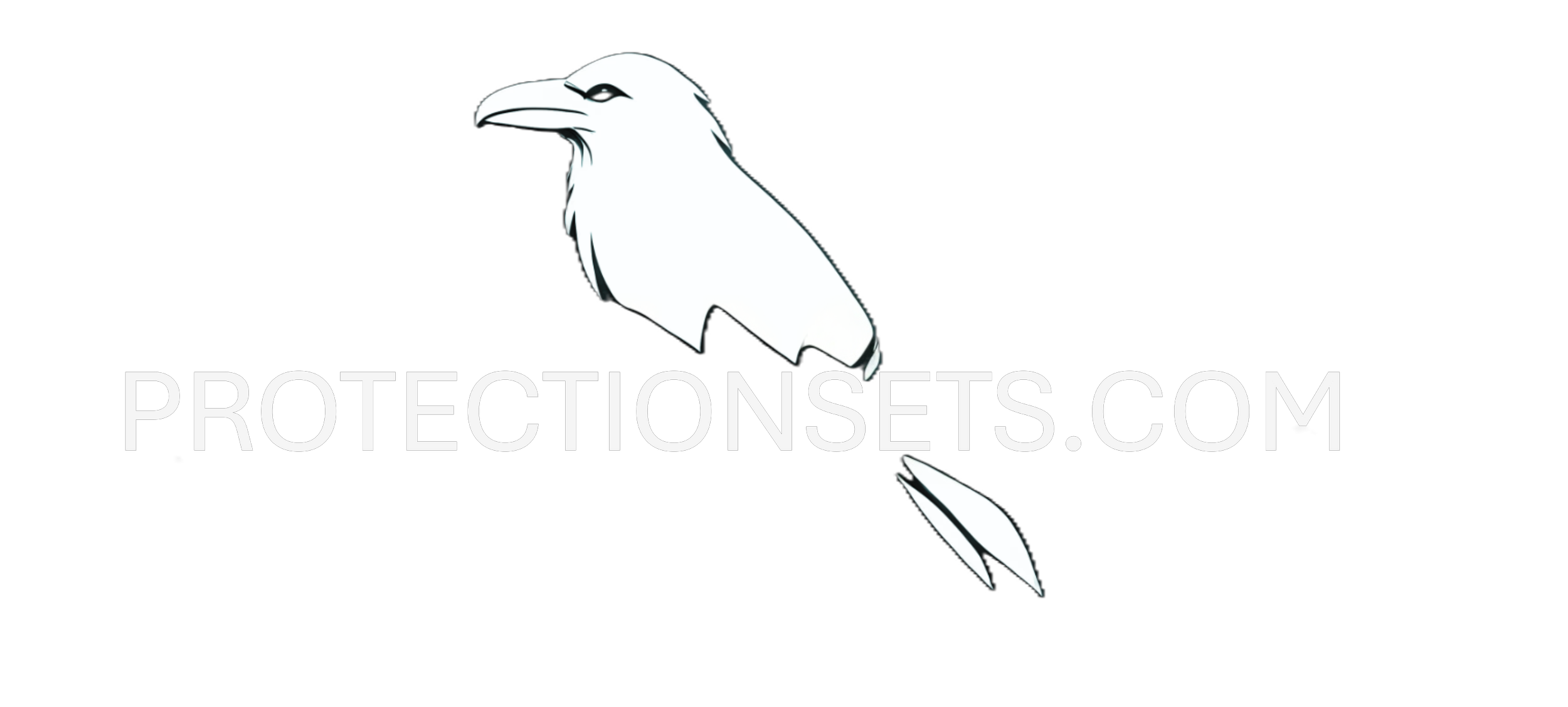 A stylized white raven logo with 'PROTECTIONSETS.COM' text underneath on a black background.