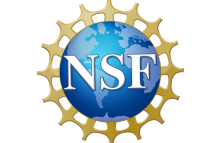 NSF logo with a globe surrounded by a gold gear.