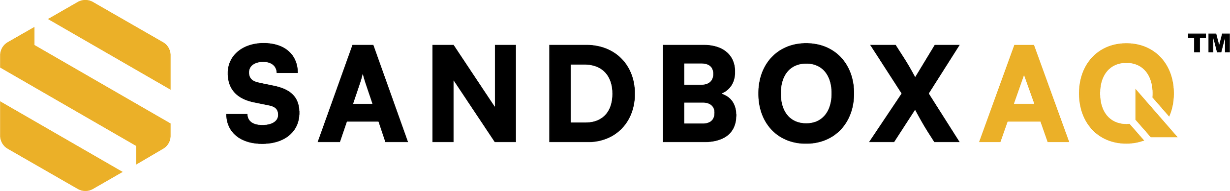 Sandbox AI logo with a hexagonal icon and the company name.