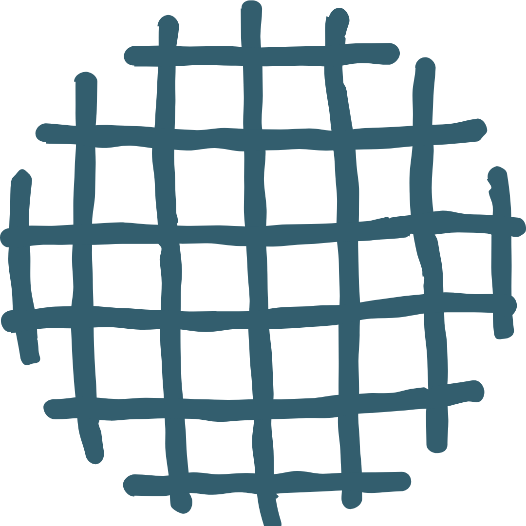 Drawing of a blue grid or net with uneven, hand-drawn lines.