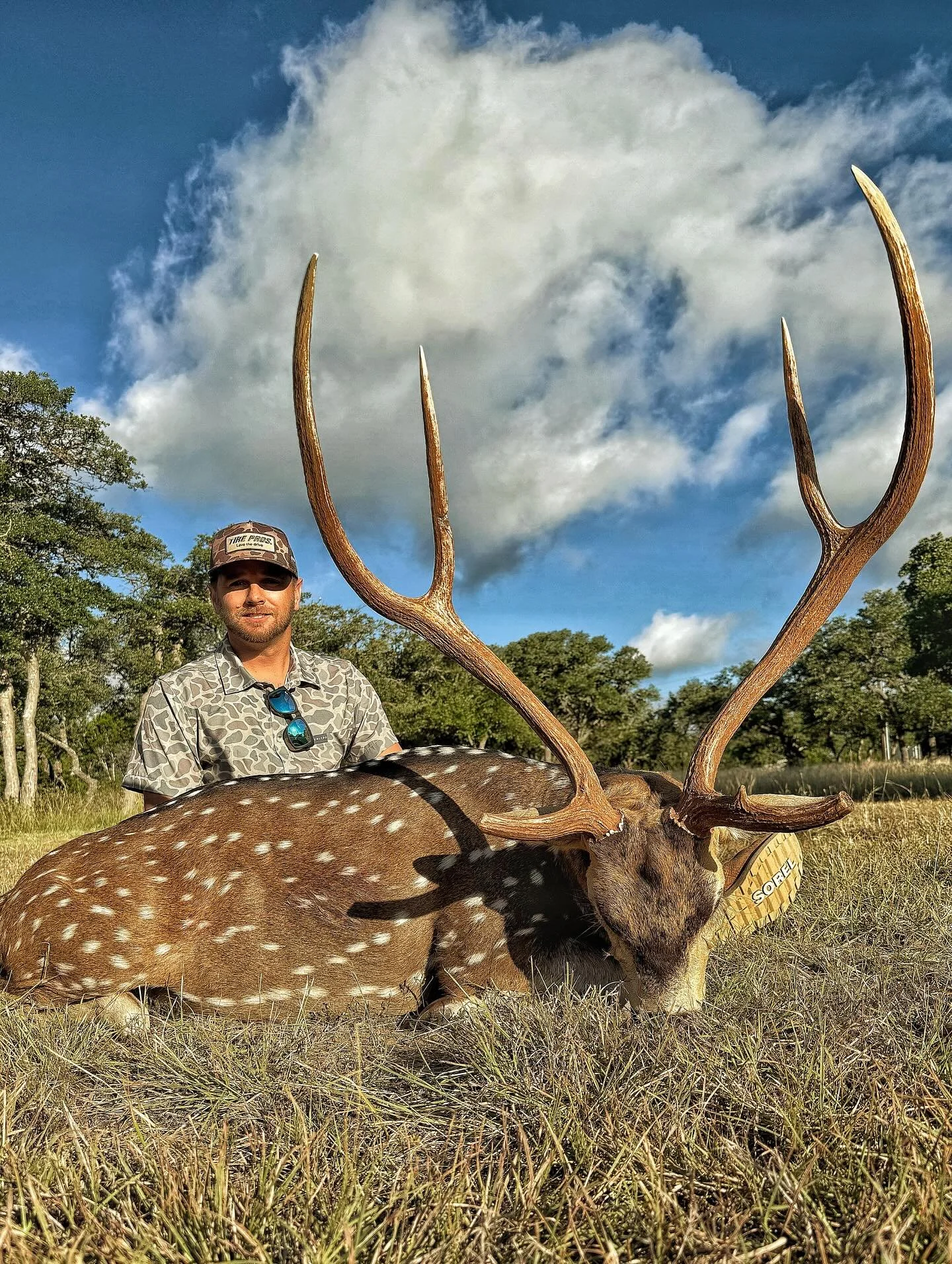Mr. Caudels. Gonna look good on the wall and taste even better. 

#axis #exotichunting #axishunting #pannellranches #signaturehuntingco #hunttx #highdivideranch #hillcountryhunting