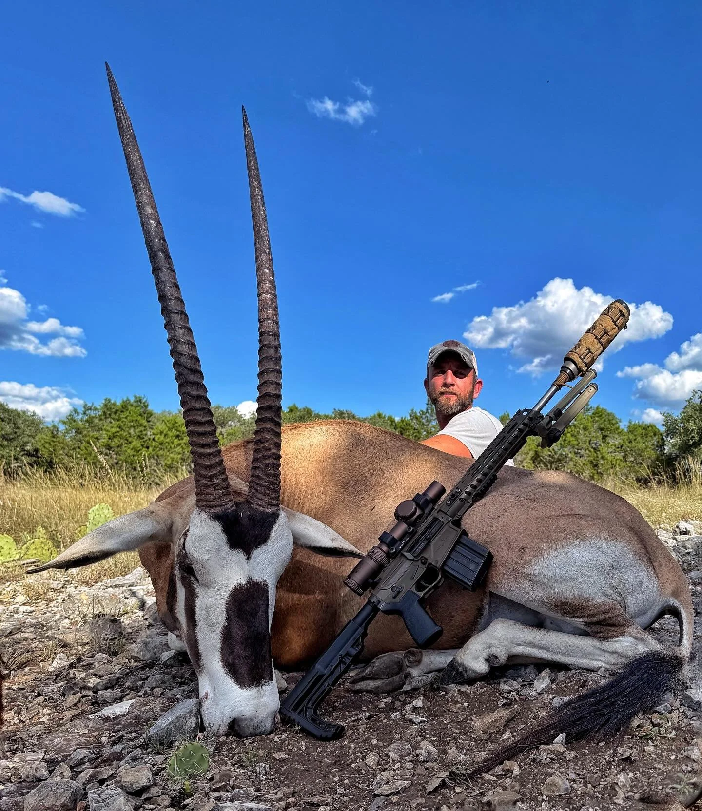 The perfect cross. The Scimbok has it all, buckskin color, face mask, and big horns. 

#scimbok #exotics #hillcountryexotics #hunttx #pannellranches #highdivideranch #frioriver #hillcountry #texashunting
