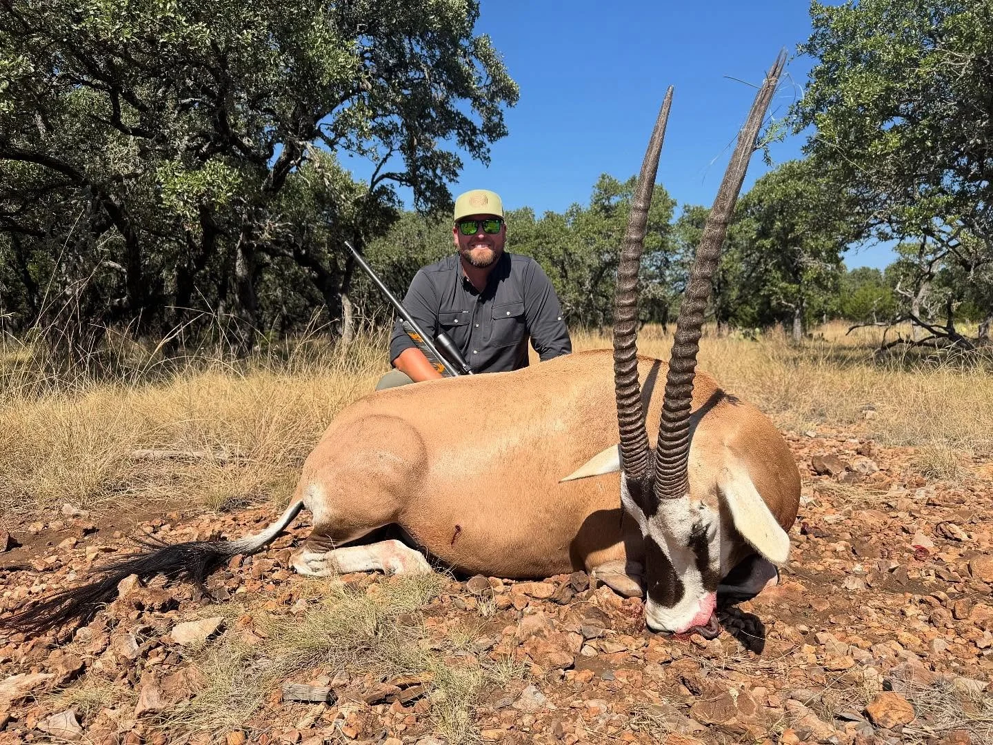 Scimbok bull down!! Amazing colors and even better meat. Congrats to our hunter on this awesome trophy! 

#pannellranches #signaturehuntingco #hunttx #hillcountryexotics #hillcountryhunting #exotics #scimbok #frioriver #highdivideranch
