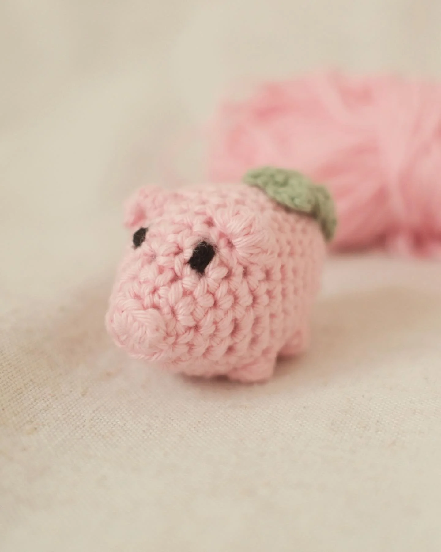 Happy New Year! 💫 
Auf in ein neues verr&uuml;cktes Jahr. 

Dieses kleine Gl&uuml;cksschweinchen musste ich unbedingt noch h&auml;keln. Super leicht, schnell und an einem St&uuml;ck - das lieb ich ja. 🤓 

Die Anleitung gibts bei @schautmal.de ✨

#h