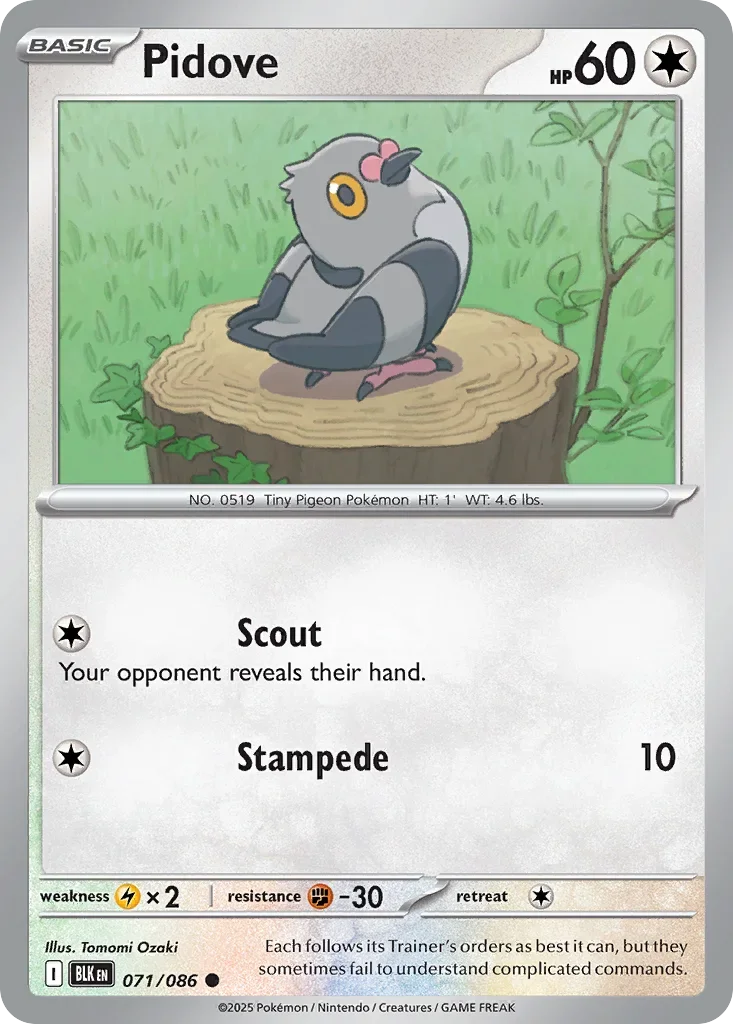 Pidove 71 Pokémon card - Common