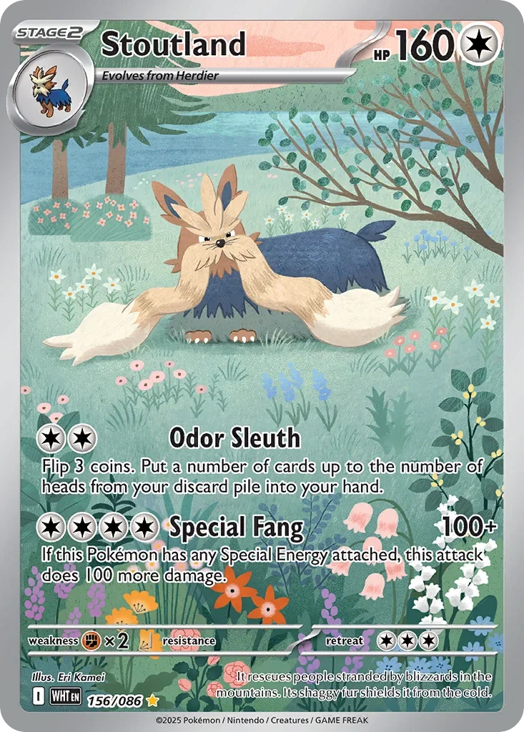 Stoutland 156 Pokemon card from White Flare set