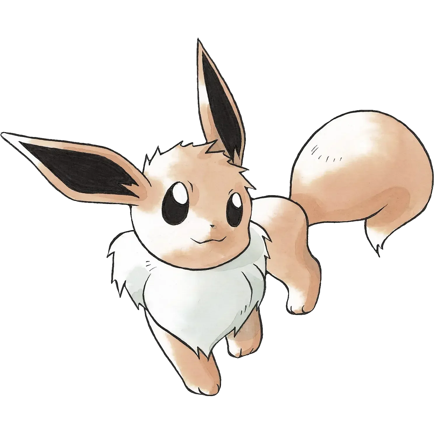 Eevee Master Set Guide