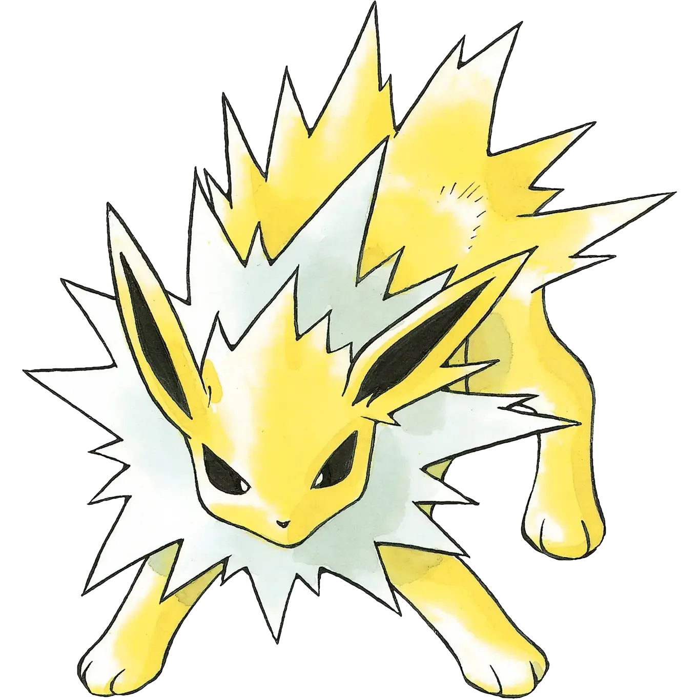 Jolteon Master Set Guide