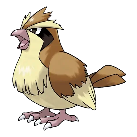 Pidgey Master Set Guide
