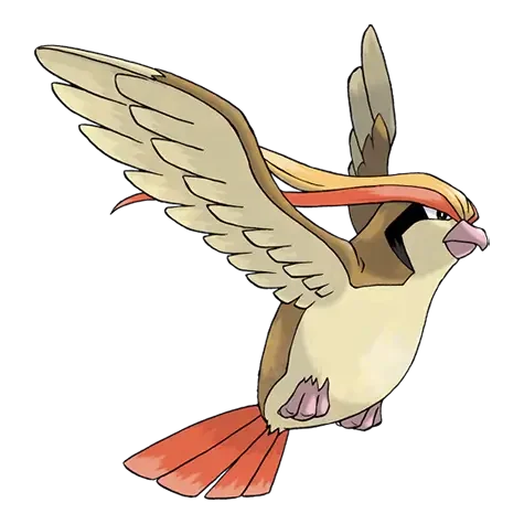 Pidgeot Master Set List