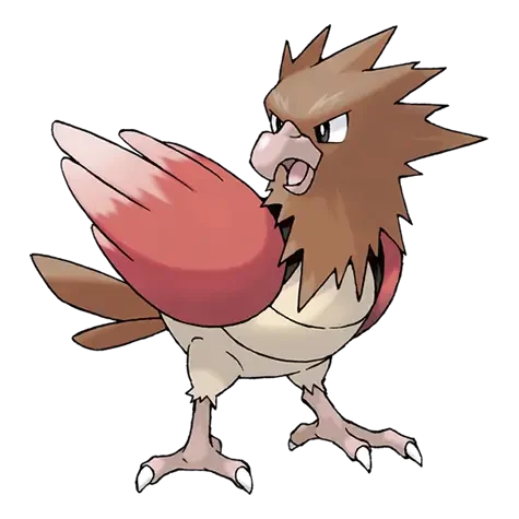 Spearow Master Set Guide