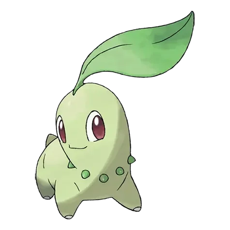 Chikorita